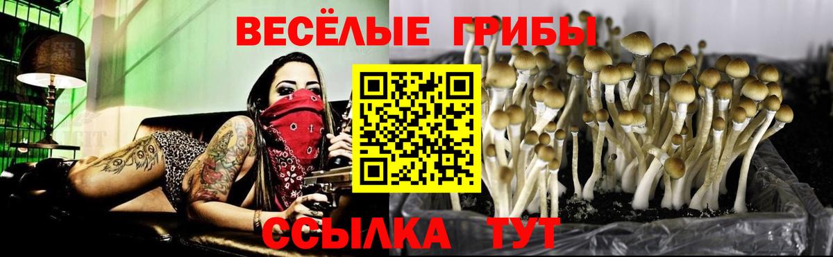 Псилоцибиновые грибы прущие грибы  как найти закладки  Ярославль  Вход с VPN  Псилоцибиновые грибы Psilocybe 
