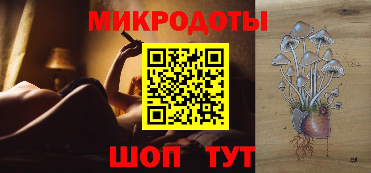 Псилоцибиновые грибы Psilocybe Ярославль